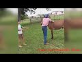 Cowboys Fails Compilation