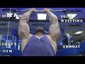 IFBB Pro Bodybuilder Todd Whitting Arm Day Video Interview