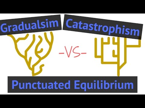 Gradualism — Definition & Examples - Expii