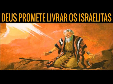 Live - BÍBLIA 365 - DEUS PROMETE LIVRAR OS ISRAELITAS - |DIA 15|