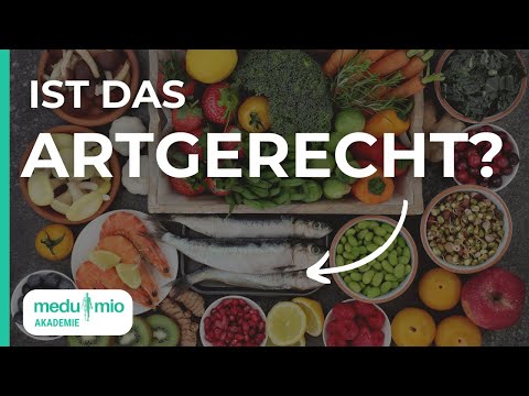 Eiweiß und Mineralien: Das solltest Du über artgerechte Ernährung wissen 🥗​ Tom Fox