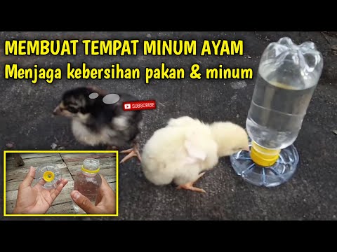 , title : 'Membuat tempat minum ayam dari botol minuman'