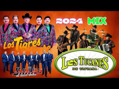 Los Rayos De Oaxaca Mix Exitos 7 Exitos De Coleccion  Puro Tierra Caliente Mix 2024