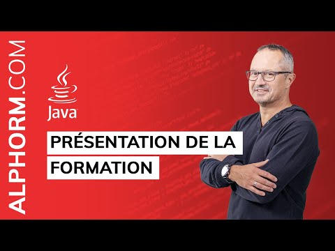 Formation Java Server Faces Présentation de la formation
