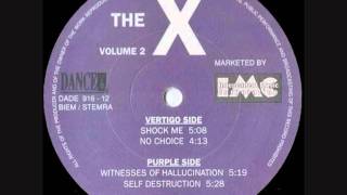 THE X - WITNESSES OF HALLUCINATION (1991)