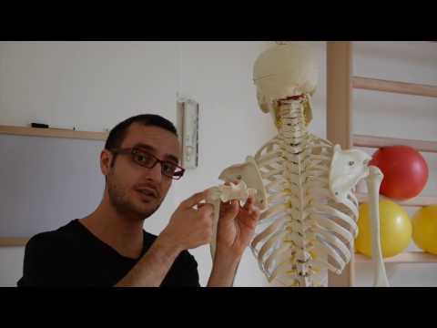 Dolore sul diritto di trattare Fortemente mal di debolezza al collo nelle gambe