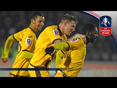 AFC Wimbledon 1-3 Sutton United (Replay) Emirates FA Cup 2016/17 (R3) | Goals & Highlights