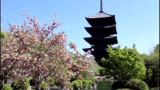 preview picture of video '京都 東寺 五重の塔 Kyoto Trip Toji Temple'