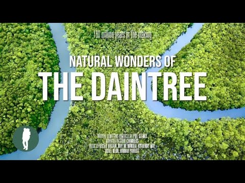Do people visit the Daintree Rainforest?