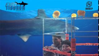 DIA 3 Expo Tiburon94