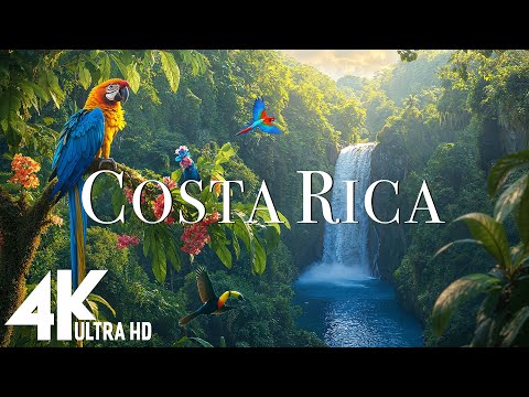 Costa Rica Rainforest 4k - Happiest Country On Earth With Exotic Wildlife |Scenic Relaxation Film #1