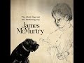 James McMurtry - Laredo (Small Dark Something)
