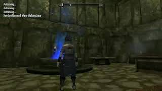 Sasuke race mod
