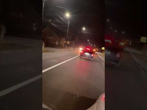 Urs surprins pe DN17, in Josenii Bargaului