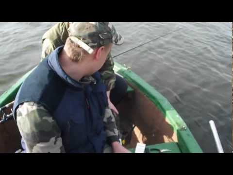 zbęchy- listopad 2012