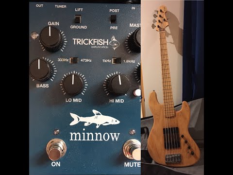 Trickfish Minnow + De Gier Hybrid Bass (passive)