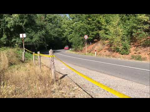 Miroslav Brankovic / Milan Gavric - 53. Serbia rally 2020 - Renault Clio RS