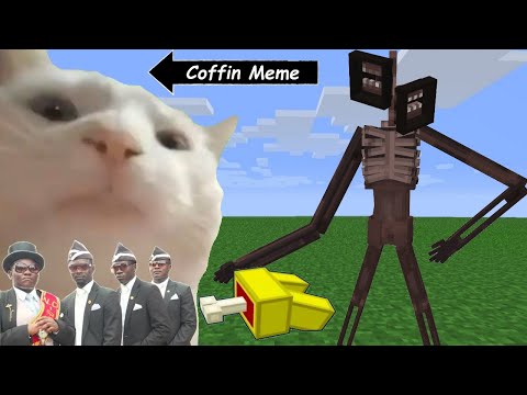 Coffin Meme but Cat is Vibing in Minecraft Part 2