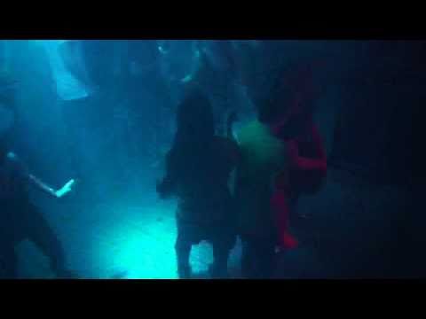 BurnYourBrain in privateROOM