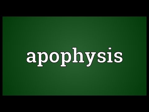 Apophysis Meaning