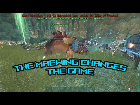 Maewing Ark Genesis Part 2 Ark Survival Evolved