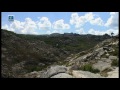 Cão de Castro Laboreiro - Entre a História, a natureza e o cão de Castro Laboreiro