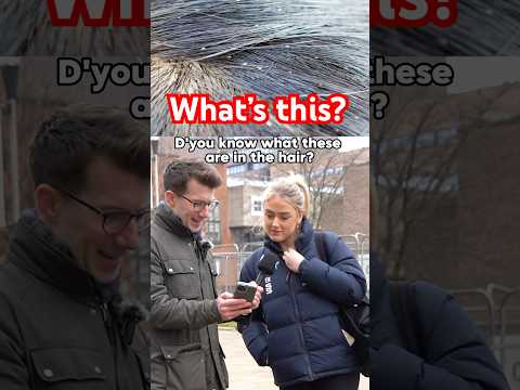 Doctor explains Head Lice #shorts