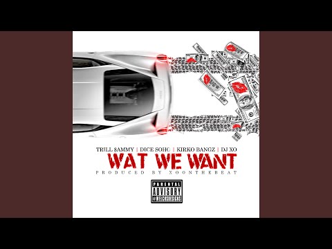 Wat We Want (feat. Kirko Bangz, Dj Xo & Trill Sammy)