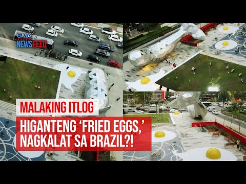 Higanteng ‘fried eggs,’ nagkalat sa Brazil?! GMA Integrated Newsfeed