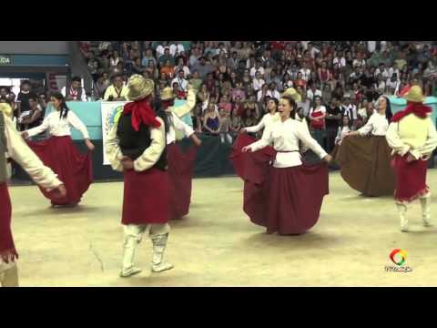 CTG Ronda Charrua - ENART 2015 - Força A - Domingo