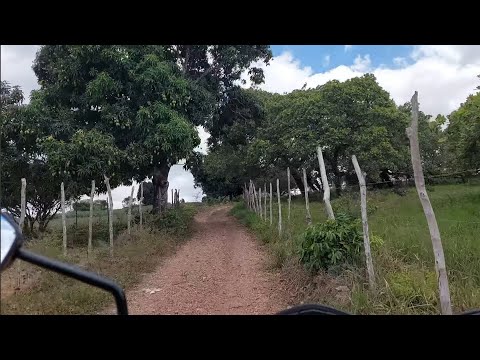 SITIO CANTO DE PEDRA ZONA RURAL DE LAGOA DE DENTRO-PB