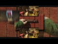 YTPMV Brand New 2025 Shaun The Sheep Season 7 Intro Scan