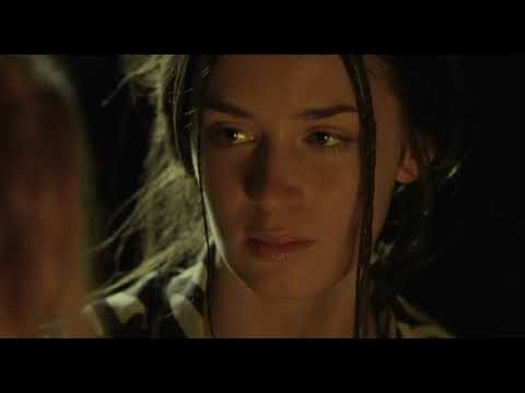 Mushrooms - My Summer of Love (2004)