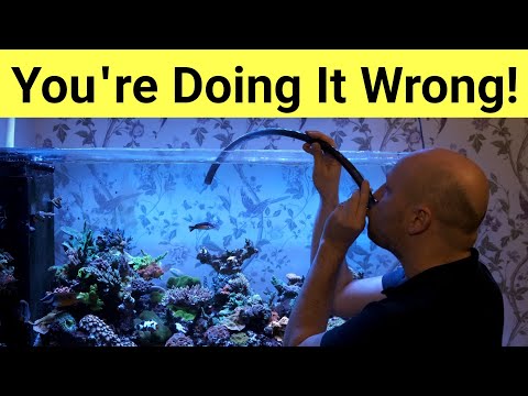 The Best Water Change Hack... In The World!