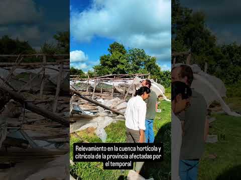 EL GOBIERNO PROVINCIAL ACTIVÓ UN RELEVAMIENTO TRAS EL TEMPORAL