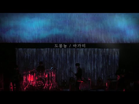 쏜애플(THORNAPPLE) - 도롱뇽 / 아가미 (Salamander / Gills) Concert Live ver.