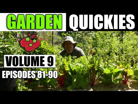 Why Raised Garden Beds Are Better