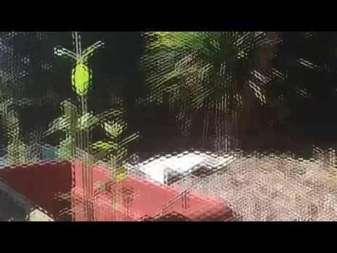 SSS 32 Bristol 2016 - The Showcases