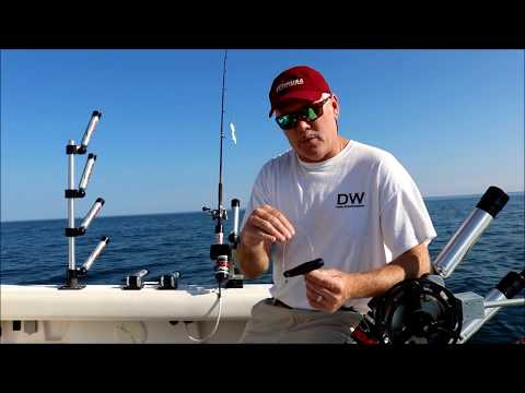 Scotty Power Grip Plus Release