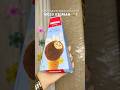 Hocco Viral Ice Cream From Blinkit Hocco Cookie Icecream Unboxing 89 Hocco Icecream Viral
