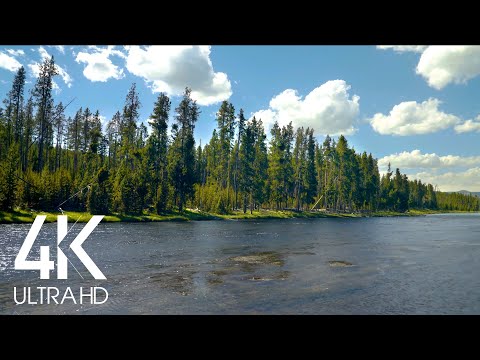 8 HOURS Relaxing Sound of a Mighty River - White Noise Stream - 4K Nature Soundscapes