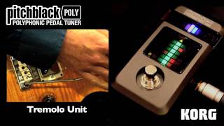 Korg: First look at the Pitchblack Poly Polyphonic Pedal Tuner