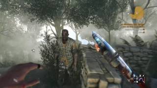 Dying Light - The following (Tom's grave mission)