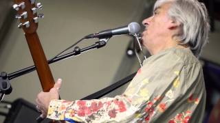Robyn Hitchcock - The Abyss (Live on KEXP)