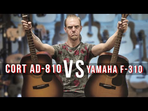 Yamaha F310 или Cort AD810, что выбрать новичку?