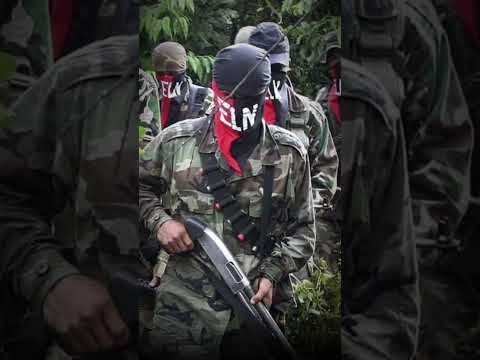Top 3 Most Powerful Guerrillas in Colombia #news #documentary #feedshorts #shortst