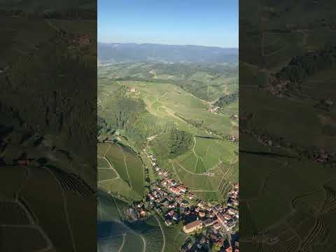 Überflug Durbachtal mit Weinbergen und Schloss Staufenburg | Heimat Schwarzwald von Oben
