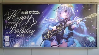 天使箱子 #天音かなた生誕祭2025 (20250518)