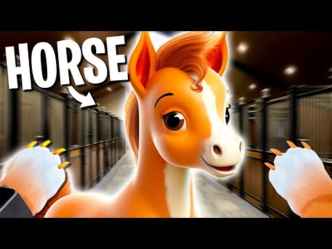 Building a STABLE for Granny's NEW HORSE! (I am Cat VR)