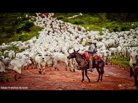 Saudosa Vida de Peão - Tião Carreiro & Pardinho